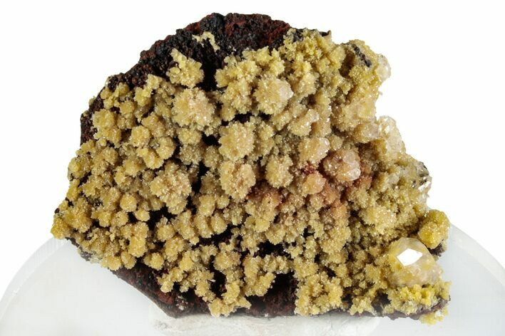 Mimetite Crystal Clusters on Limonitic Matrix - Mexico #261935